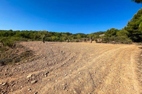 terrernos rurales en onil